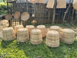 Climate Change, Fuel Price Rise Push Assam Tea Workers Deeper Into Hardship